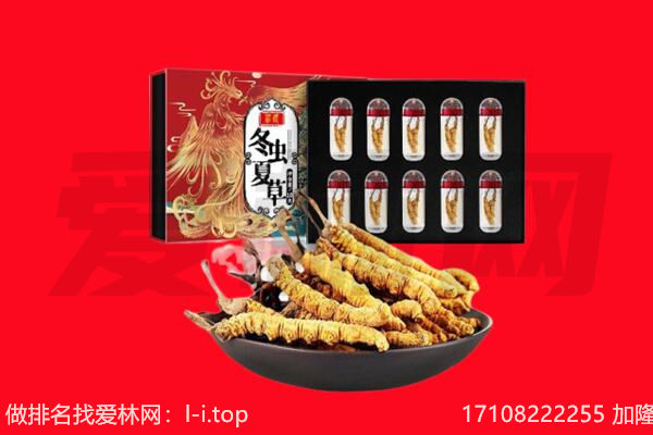 秦皇岛回收虫草.jpg